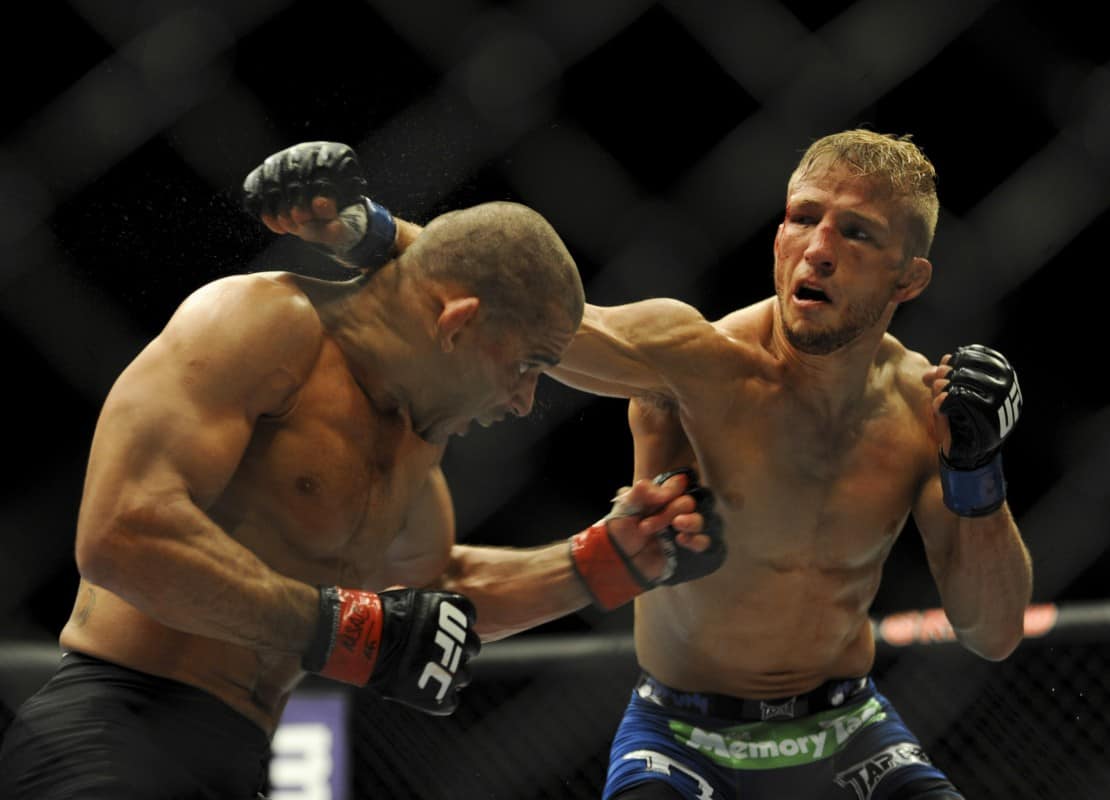 TJ Dillashaw vs. Renan Barao Rumored For UFC 186 Main Event