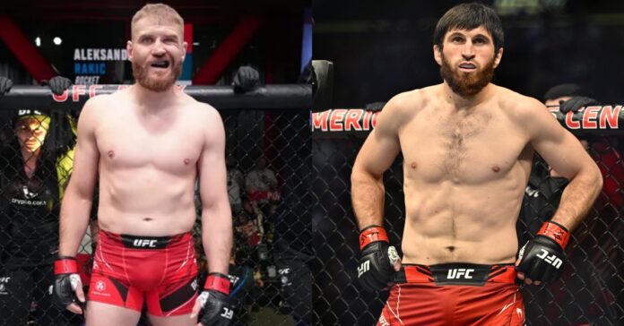 Report Jan Blachowicz Vs Magomed Ankalaev Slated For UFC 282 On