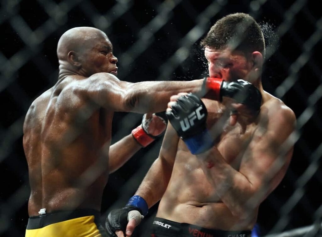 anderson silva's ufc 183 win