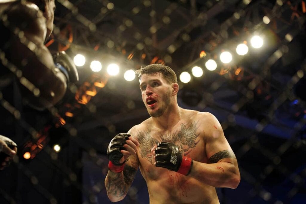 chris camozzi