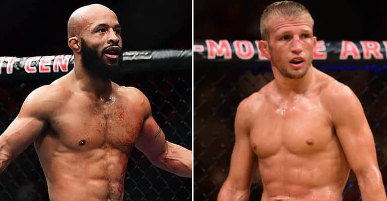 Demetrious Johnson Hopeful TJ Dillashaw Fight Happens This Summer