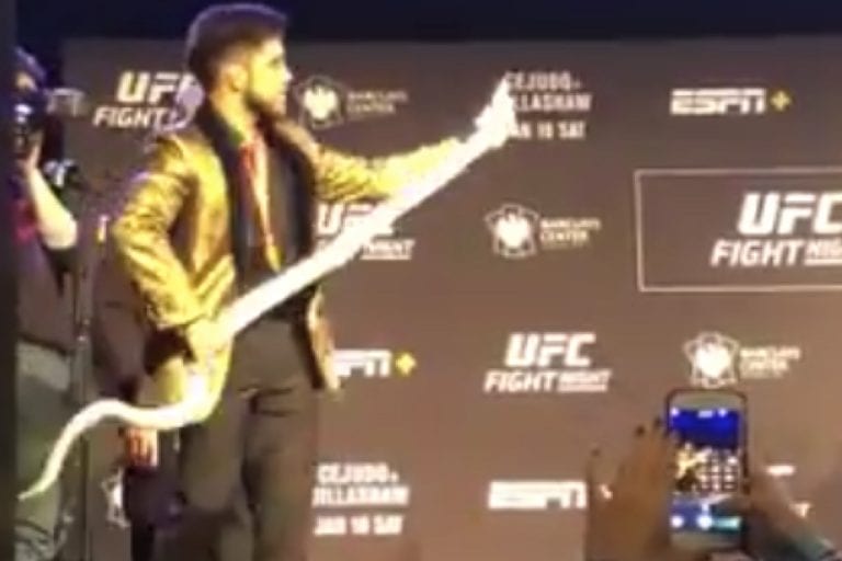 Video: Henry Cejudo Brings Out Snake Before Dillashaw Staredown