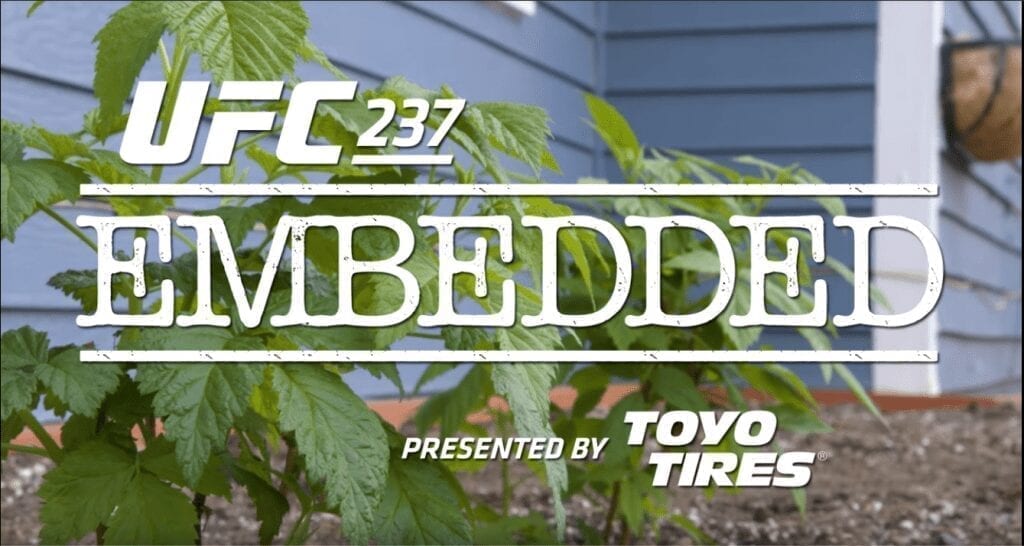 UFC 237 embedded 1024x546 1