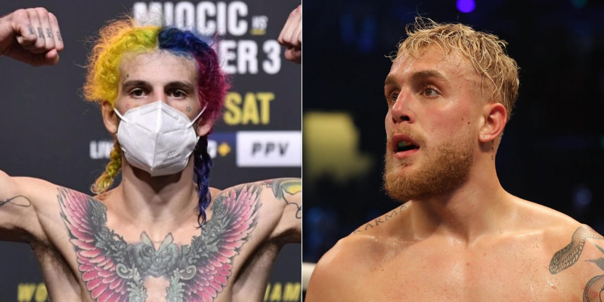 Sean O'malley Picks Jake Paul To Beat Ben Askren In Boxing Match 