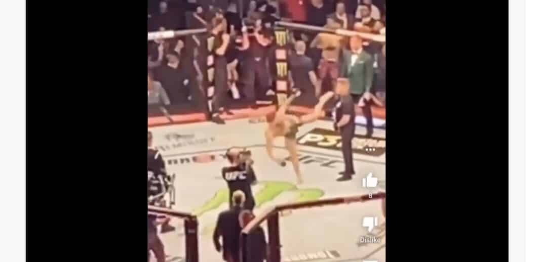 Video - Security Guard Doesn't Flinch As Conor McGregor Throws High ...