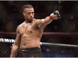 Watch Greg Hardy get brutally KO'd in BKFC debut (Video)