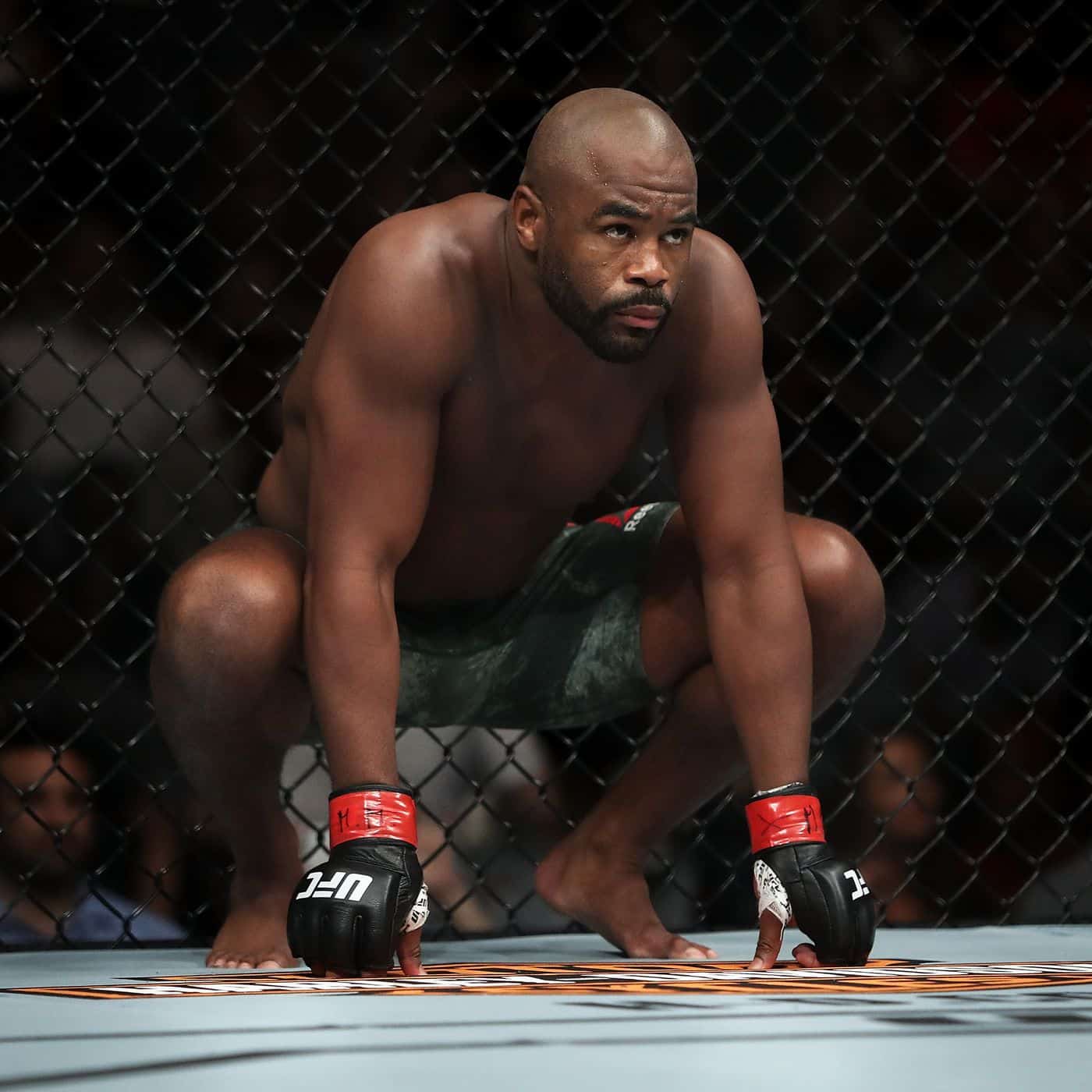 Rashad Evans