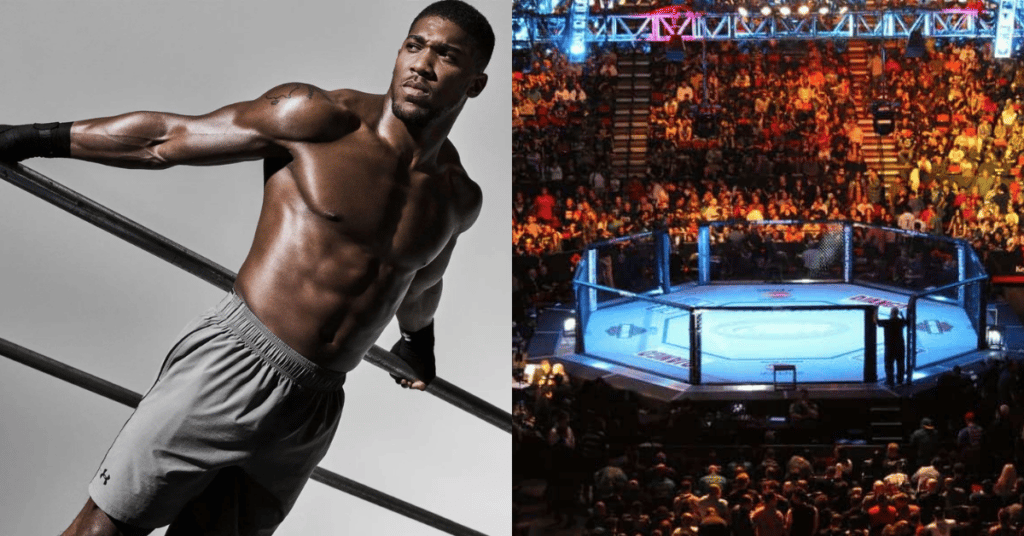 Anthony Joshua UFC