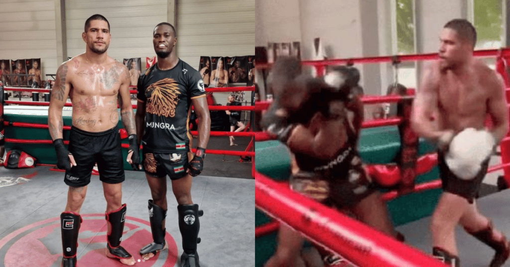 Watch | Alex Pereira spars against GLORY Kickboxing light heavyweight fighter Clyde Brunswijk