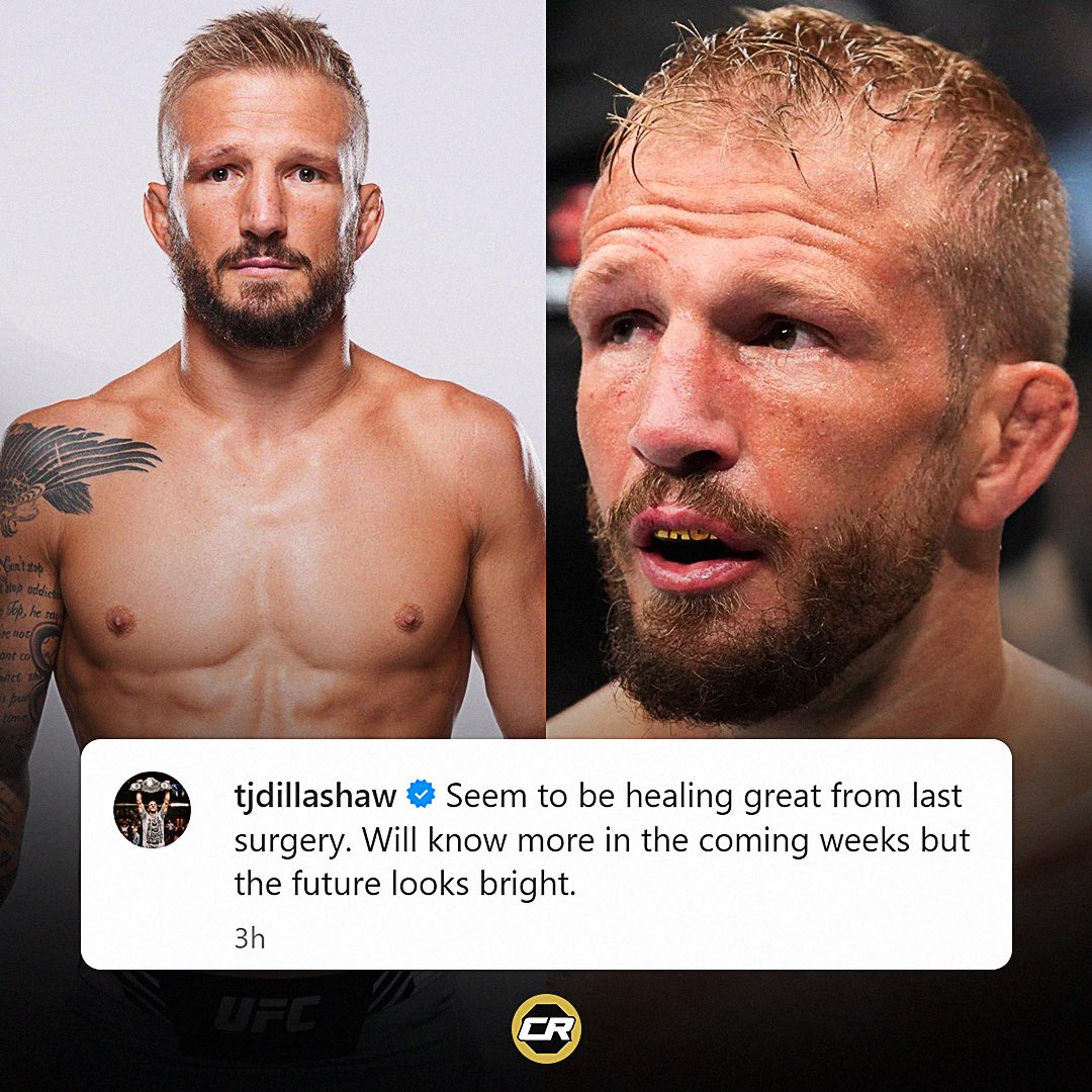 Ex-UFC Champion TJ Dillashaw Teases Potential Return To Fighting: 'The ...