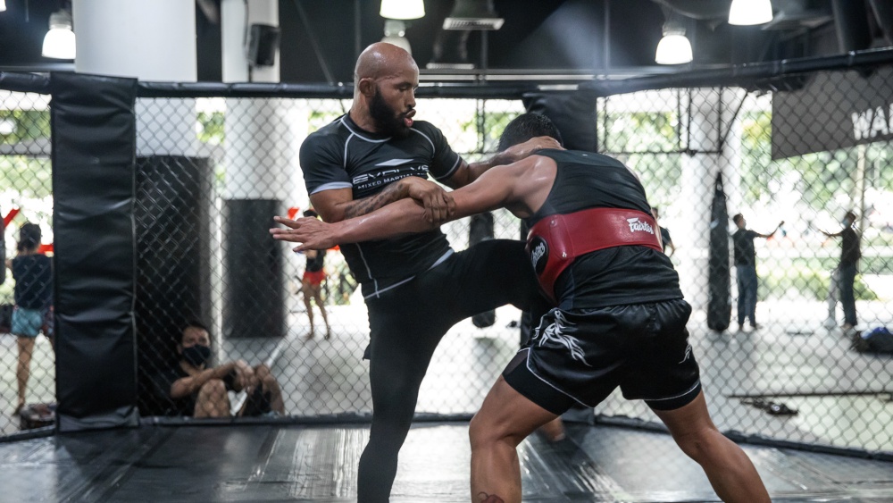 Demetrious Johnson Body Kick