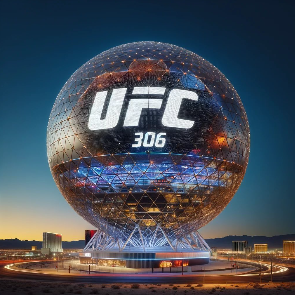 UFC 306