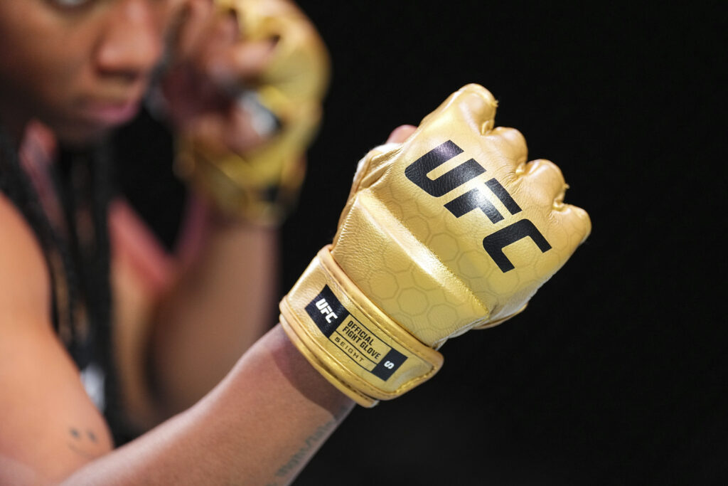 New UFC gloves