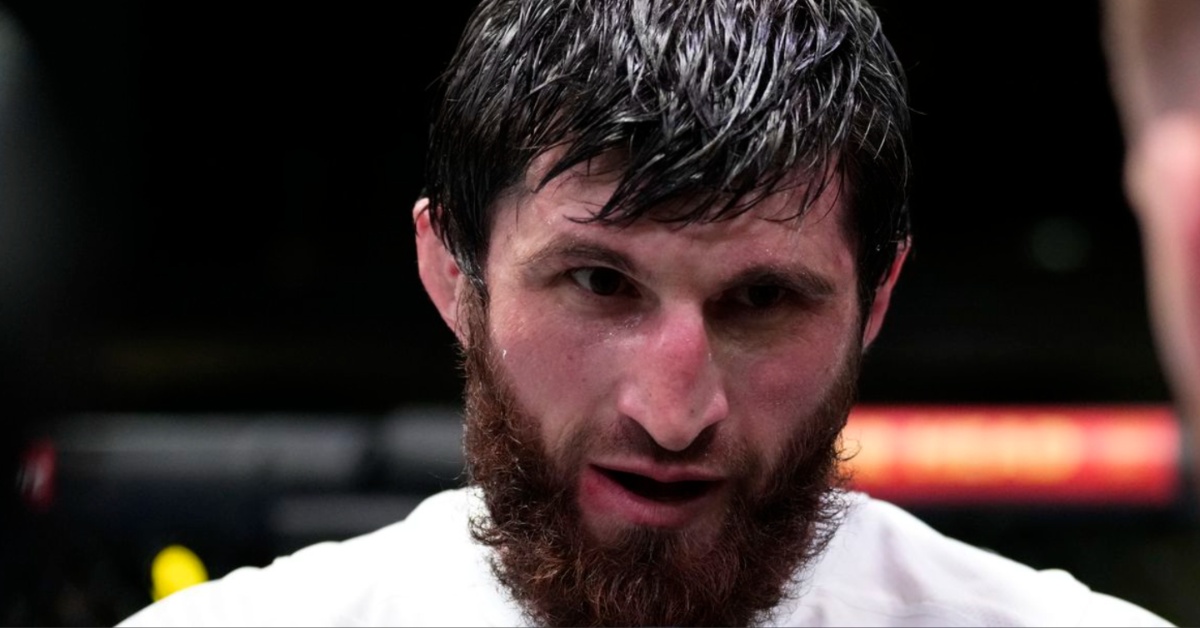 Magomed Ankalaev accuses the UFC of keeping Alex Pereira away from him: ‘I will knock him out’