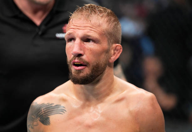 dillashaw 2