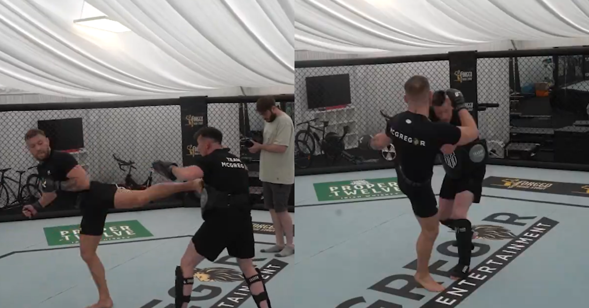 Video - Conor McGregor drills back kicks in new footage ahead of UFC comeback fight