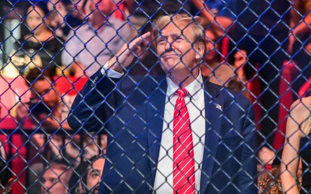 trump zuffa