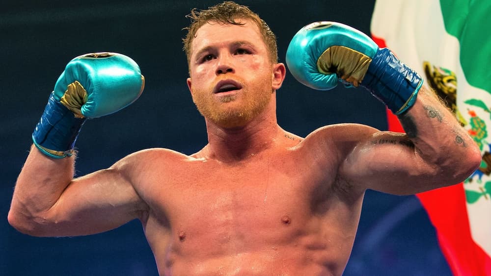 Saul Canelo Alvarez Boxing 1 1