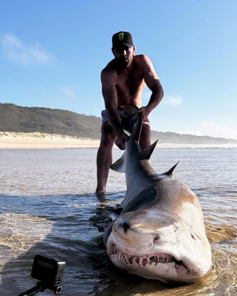 Dricus Du Plessis Shark