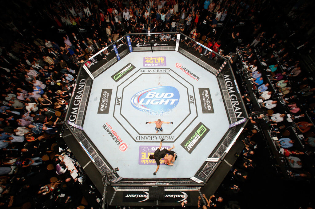 ufc cage