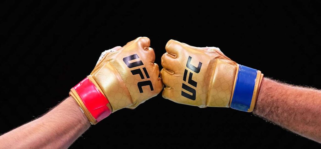 UFC gloves banner