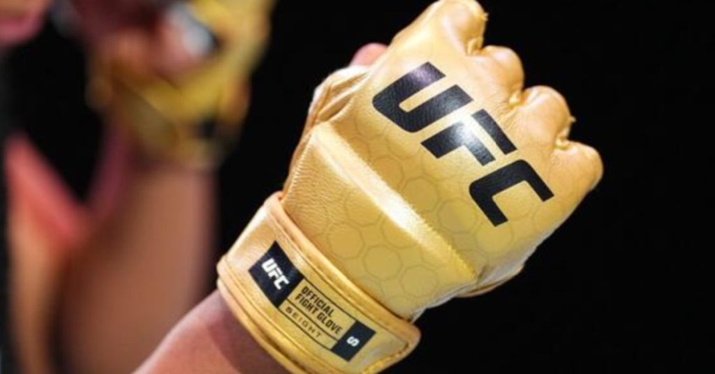 ufc gloves Cropped 1024x536 1