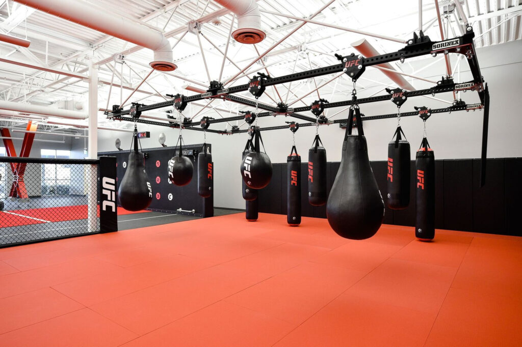 ufc gym