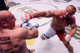 Mariusz Pudzianowski KSW 2