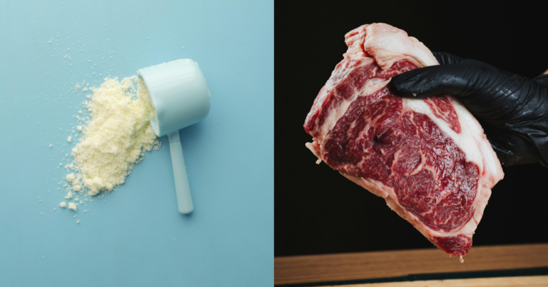 Protein Powder vs Meat - What's Better? Best Protein Powder